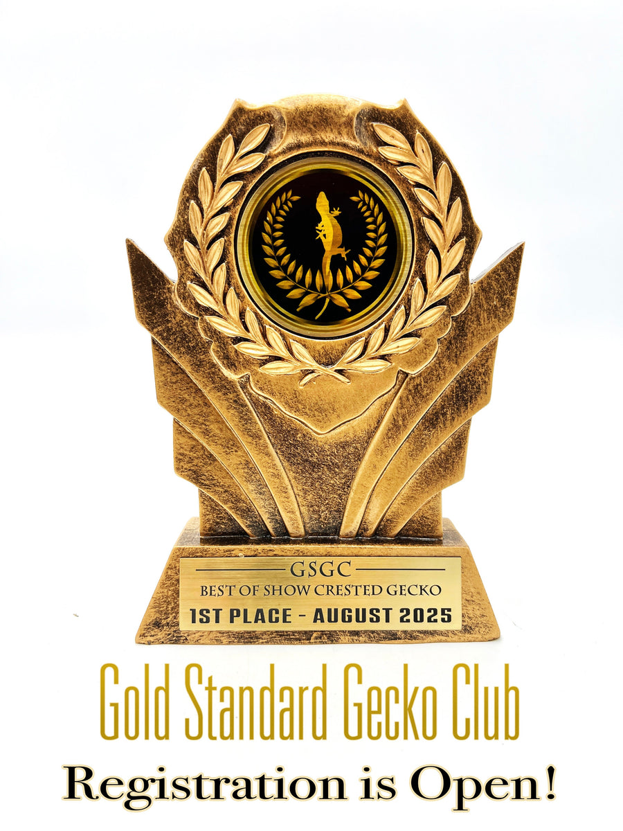 Gold Standard Gecko Club Registration is OPEN for August 2025