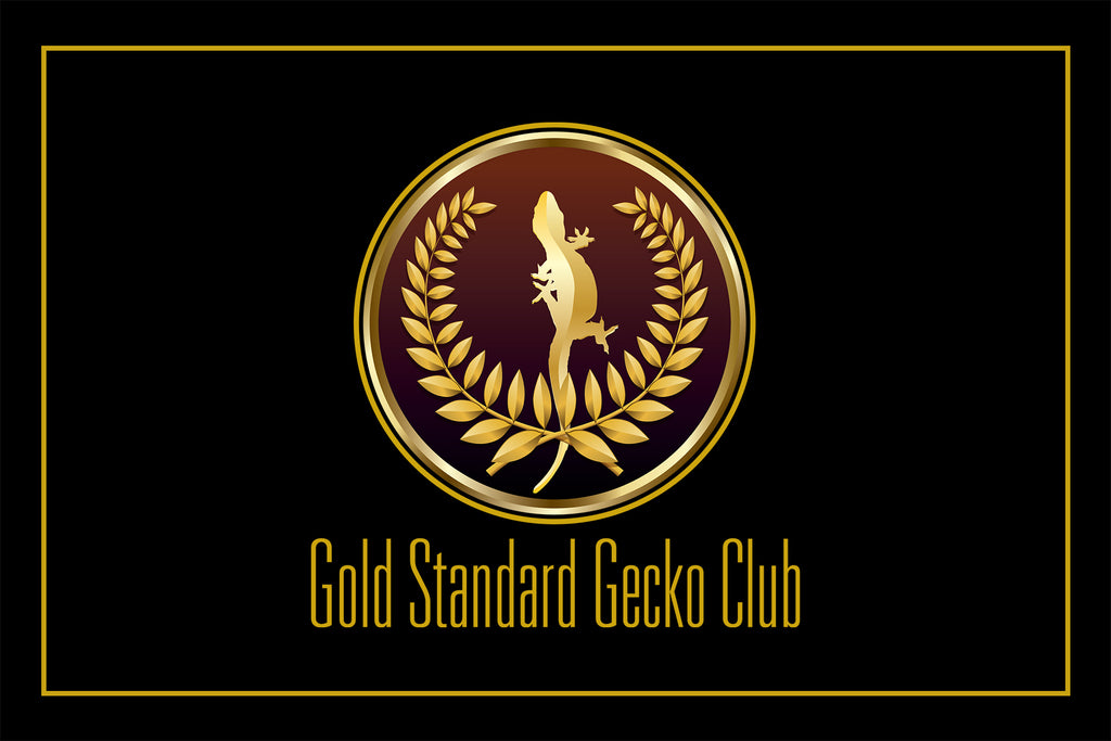 Gold Standard Gecko Club Debut @ FFC!