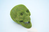 Mossy Skull