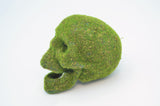 Mossy Skull
