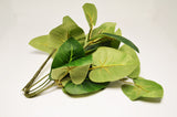 Small Green Foliage