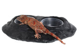 Pangea Ultimate Gecko Ledge