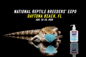 The BIGGEST Reptile Show of The Year is Back! Daytona NRBE !