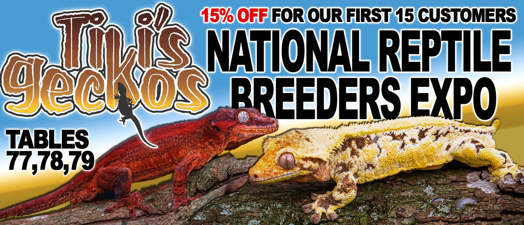 Daytona Beach, Fl Reptile Show: National Reptile Breeders Expo 2022