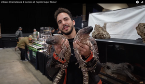 Reptile Super Show in Pomona, California! TikisGeckos will be there!