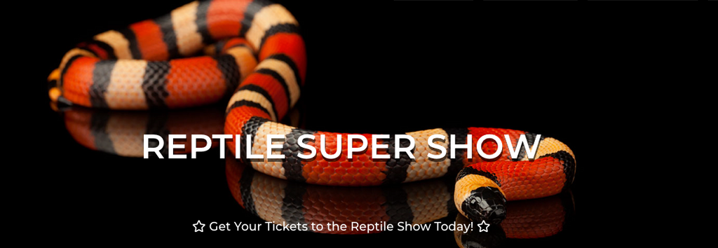 Reptile Super Show January 2024