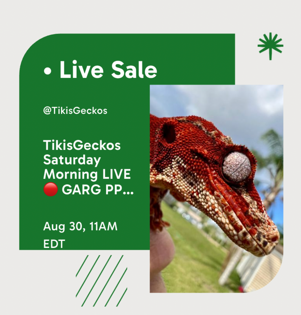 Palmstreet LIVE Auctions!