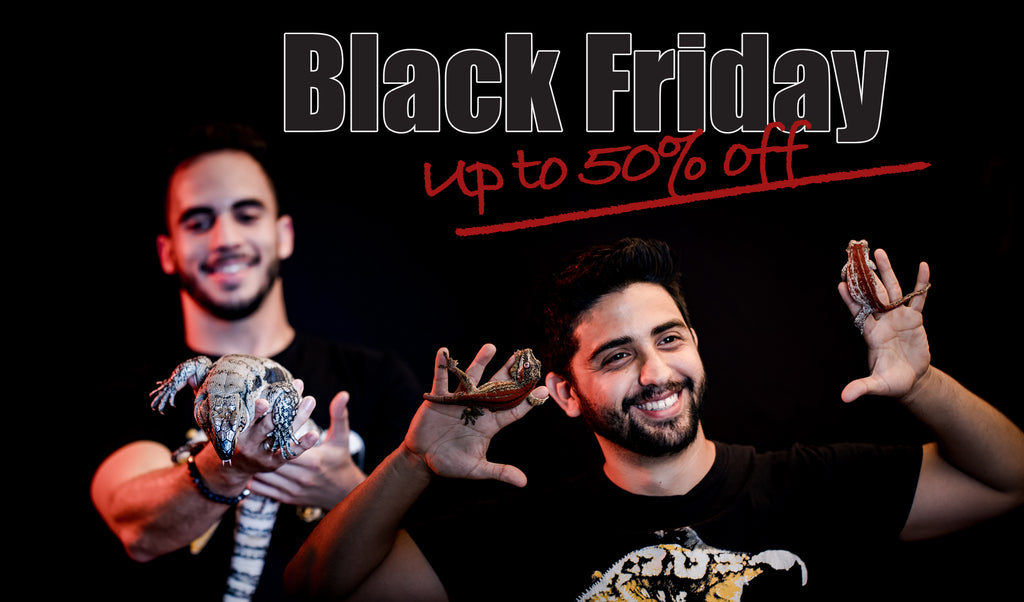 Our Annual Black Friday Sale is BACK!