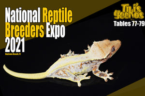 Daytona National Reptile Breeders Expo 2021