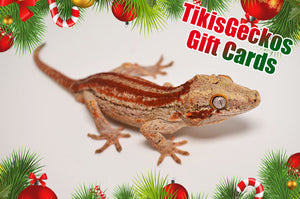 Spread Holiday Cheer with a TikisGeckos Gift Card!