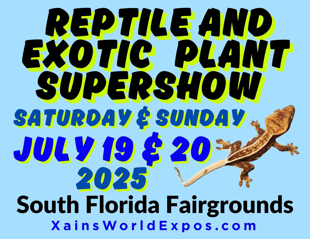 Reptile Expo in West Palm Beach!