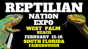 Reptilian Nation West Palm Beach