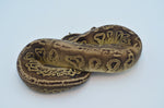 Black Pewter Het Candy Pied Ball Python