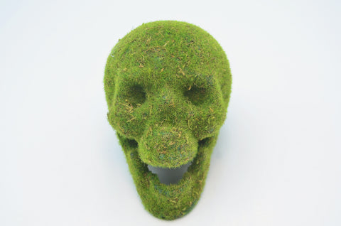 Mossy Skull