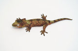 High Red Pine Island Mossy Prehensile Tailed Gecko