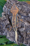 Emptyback Quadstripe Crested Gecko