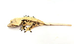 Creamy Extreme Harlequin Pinstripe Crested Gecko