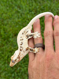 High Expression Lilly White Pinstripe Crested Gecko