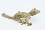 Mossy Leaf Tail Gecko