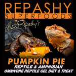 Repashy Pumpkin Pie