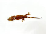 White Collar Sarasin's Gecko