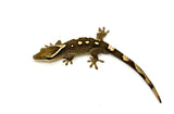 White Collar Sarasin's Gecko