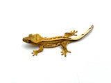 Yellow Whitewall Pinstripe Crested Gecko (Unique Eyes)