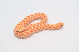 Albino het Lavender Western Hognose Snake