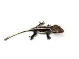 Axanthic Lilly White Crested Gecko (pos super emptyback)