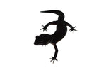 Black Night Leopard Gecko