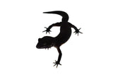 Black Night Leopard Gecko