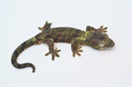 Pine Island Mossy Prehensile Tail Gecko (GREEN)