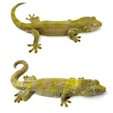 White Collar Pine Island Mossy Prehensile Tail Gecko (GREEN)