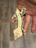 Crowned Lilly White Pinstripe Crested Gecko