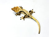 Whitewall Pinstripe Crested Gecko (Emily Burke line)