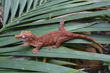 Red/Orange Blotched Gargoyle Gecko