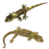 White Collar Pine Island Mossy Prehensile Tail Gecko