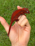 Red Striped Red Base Gargoyle Gecko (Kotex offspring)
