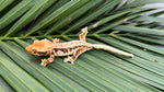 HOLDBACK BRIGHT WHITE Triclor Harlequin Lilly White Crested Gecko