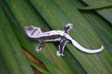 Axanthic Lilly White Crested Gecko