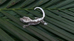 Axanthic Lilly White Crested Gecko