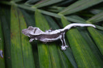 Axanthic Lilly White Crested Gecko