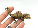 Pine Island Mossy Prehensile Tailed Gecko