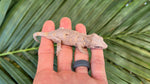 Red Striped Gargoyle Gecko (Phantom group)