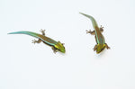 Neon Day Gecko