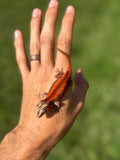 Red Striped Gargoyle Gecko (TAMPAX offspring)