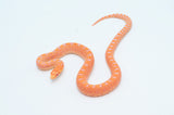 Red Albino Bull Snake