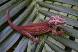 Red Striped Gargoyle Gecko