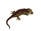 Red Aberrant Striped Gargoyle Gecko (La Tigra sister)