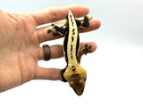 Whitewall Superstripe Crested Gecko (BlackJack CLONE)